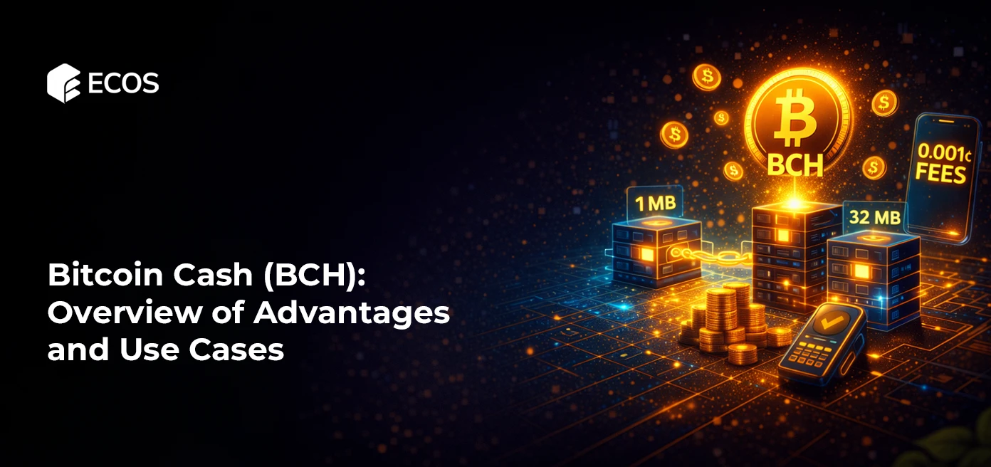 Bitcoin Cash (BCH): Overview of Advantages and Use Cases