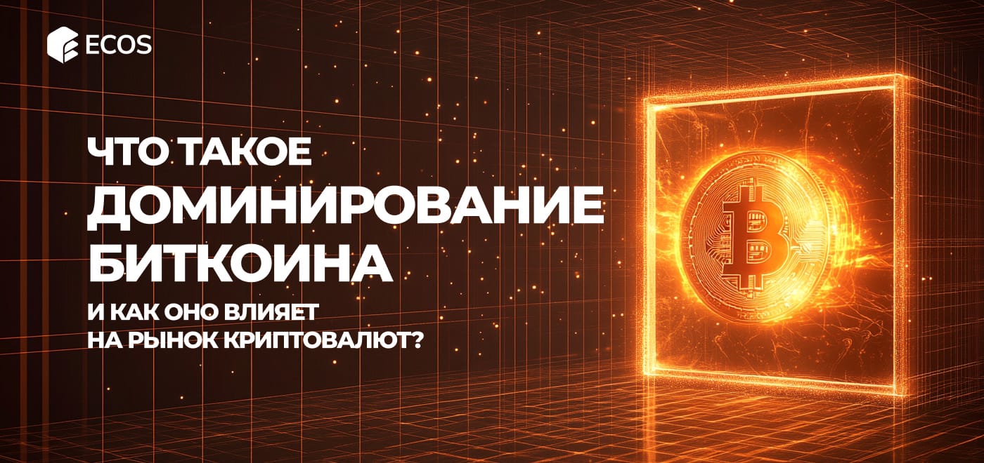 Доминирование Биткоина: влияние на рынок. Как использовать индекс BTC