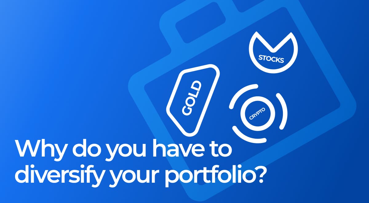 Why do you have to diversify your portfolio?