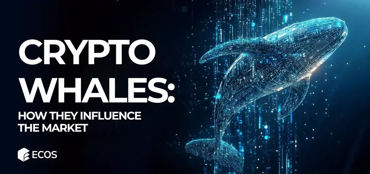 Crypto Whales: How They Influence the Market