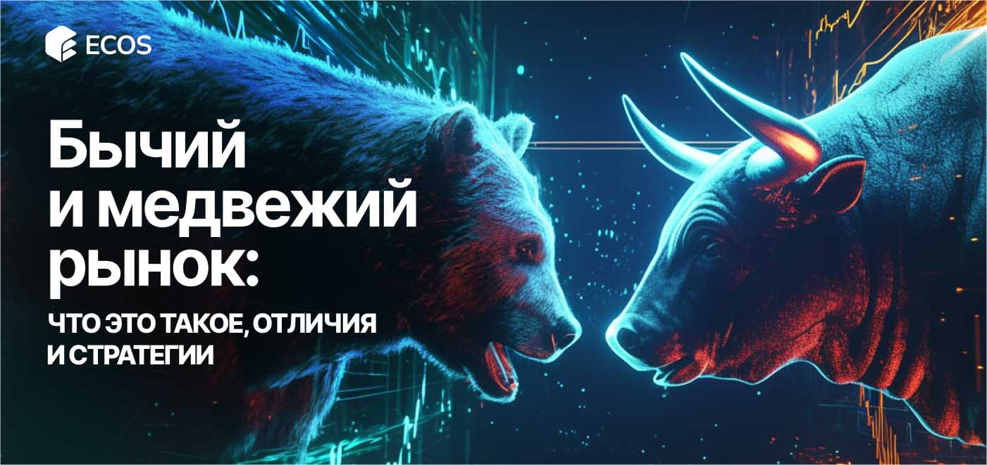 Что такое бычий и медвежий рынок: простое объяснение для начинающих инвесторов