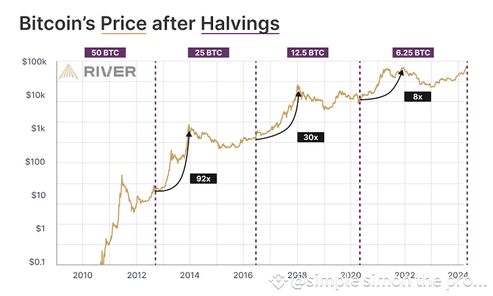 Impact of Halving on Miners and Mining Difficulty
