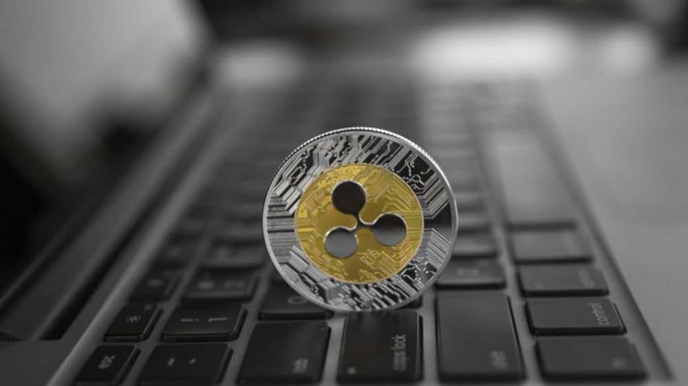 RippleNet в действии