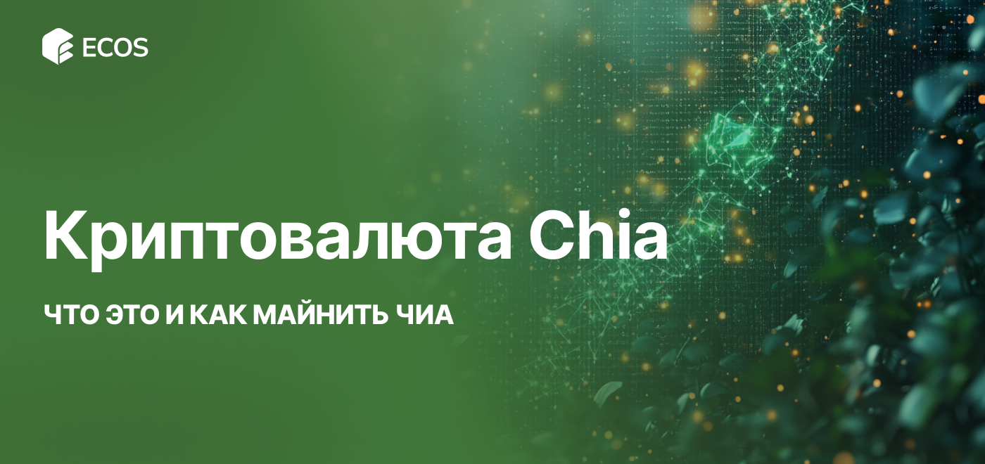 Криптовалюта Chia: Что Это и Как Майнить Чиа