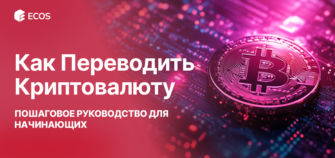 Как переводить криптовалюту: пошаговое руководство для начинающих