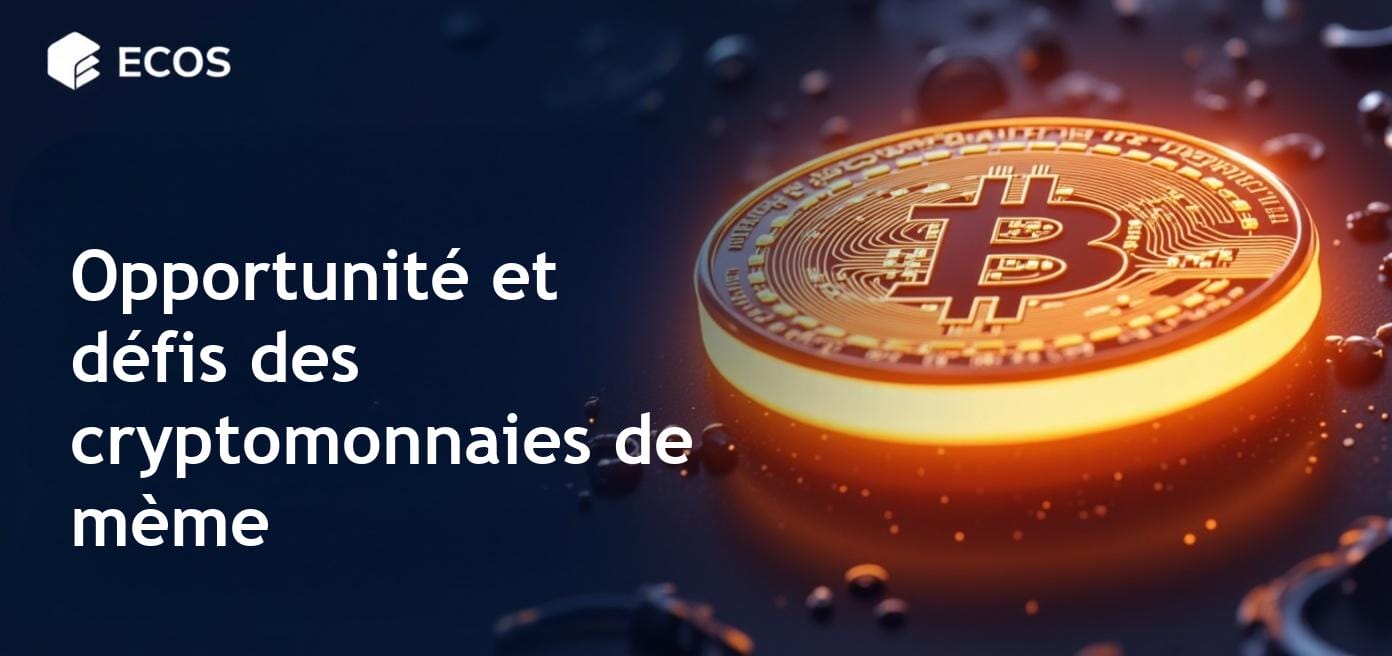 Opportunité d’investissement en cryptomonnaies de mème : Hype contre réalité