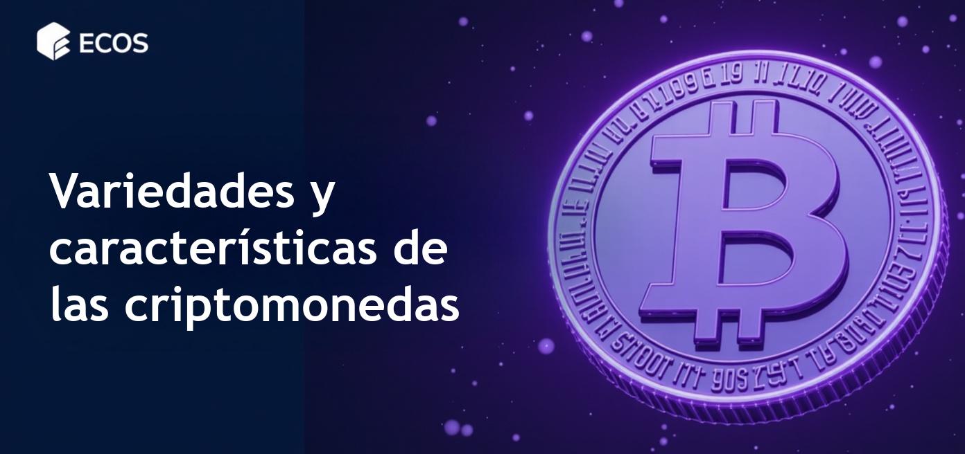 Tipos de criptomonedas: clasificación y ejemplos populares