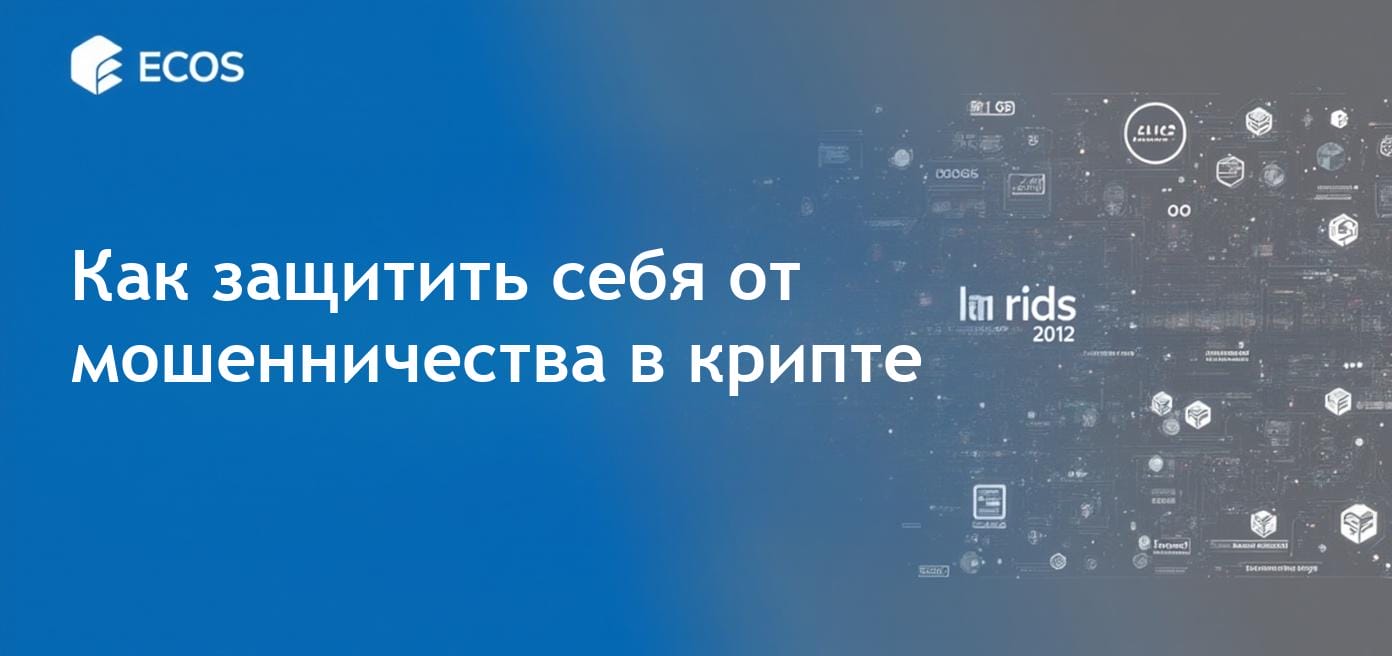 Риски rug pulls: руководство по проверке проектов и защите инвесторов