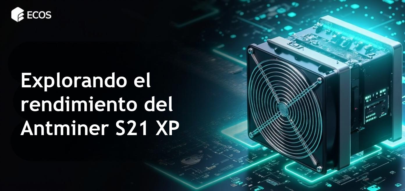 Antminer S21 XP: todo sobre rendimiento y eficiencia en minería