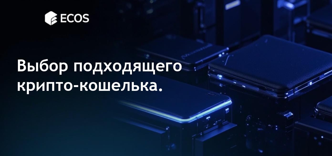 Крипто-кошелек: что это такое и как выбрать подходящий?