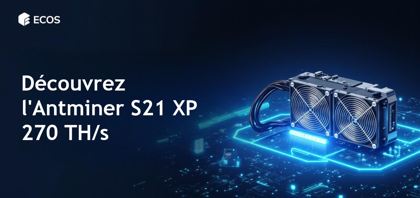 Antminer S21 XP : Performance, efficacité et rentabilité du minage