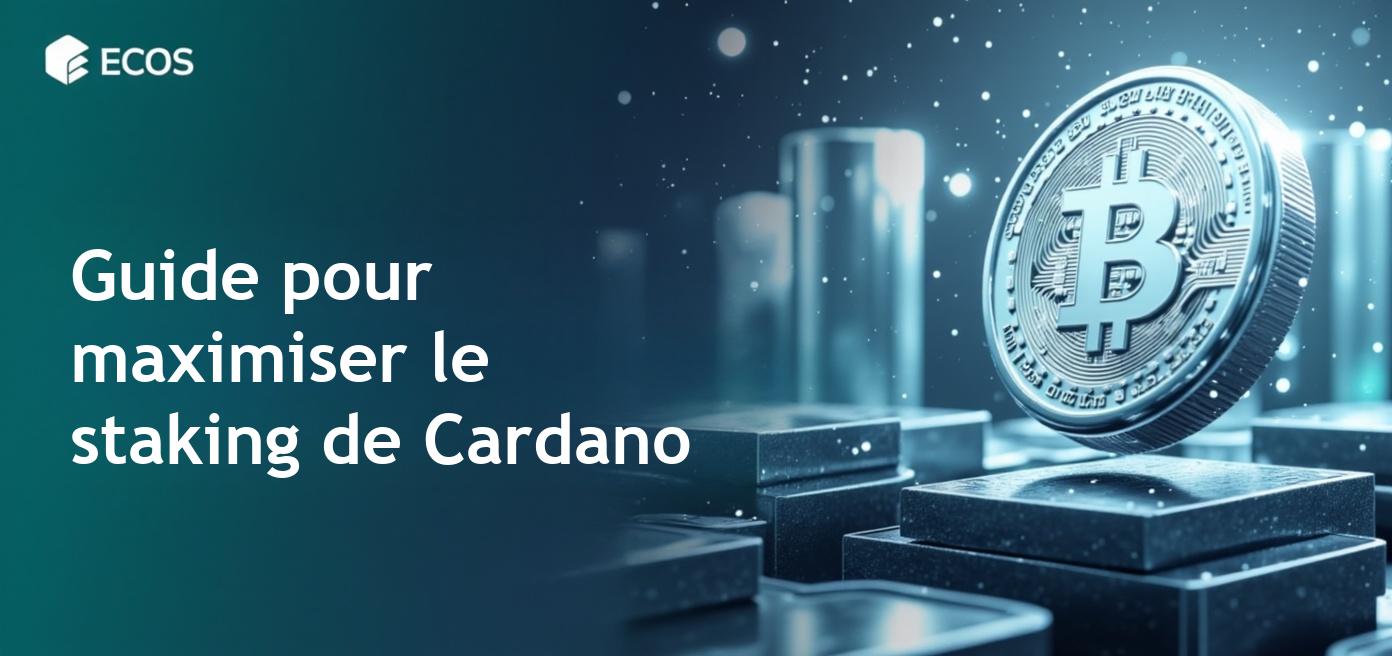 Staking Cardano: Guide du minage et des récompenses en 2025