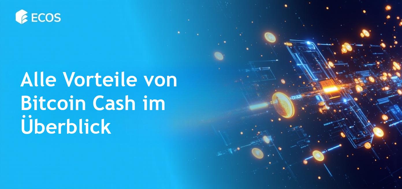 Bitcoin Cash Vorteile: Detaillierte Analyse und Nutzung