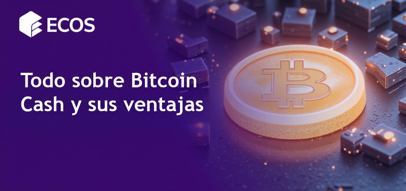 Bitcoin Cash: Una guía completa sobre cómo funciona