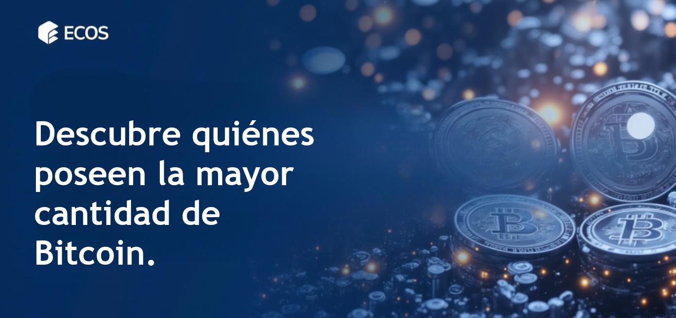 Los mayores tenedores de bitcoin: empresas, intercambios, gobiernos y Satoshi Nakamoto.