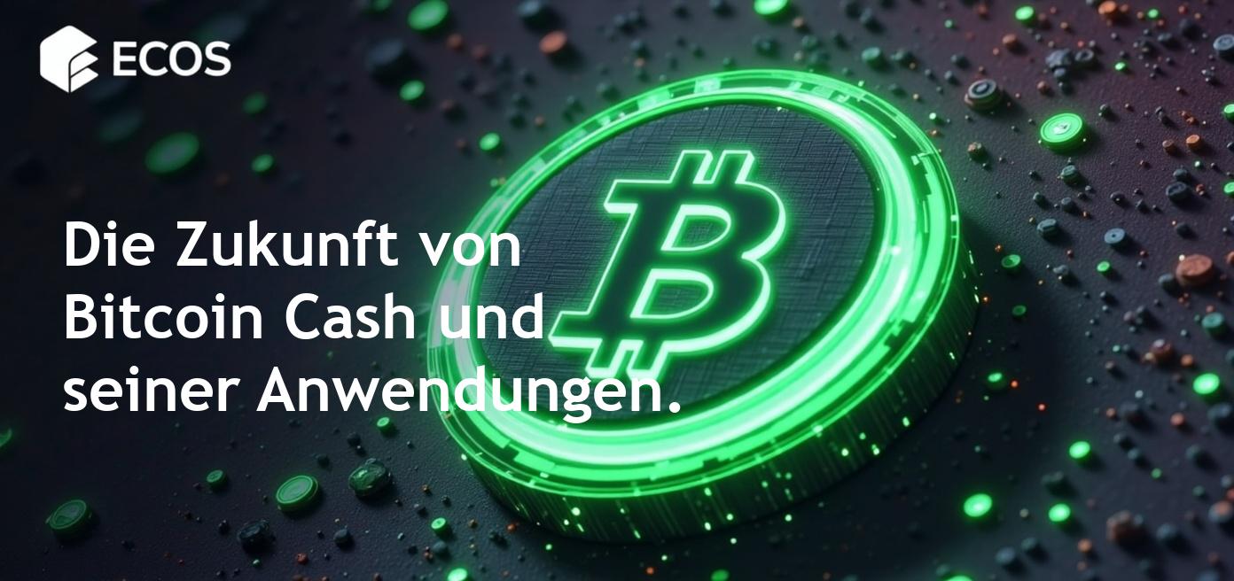 Bitcoin Cash: Ein umfassender Leitfaden für Funktionsweise und Vorteile