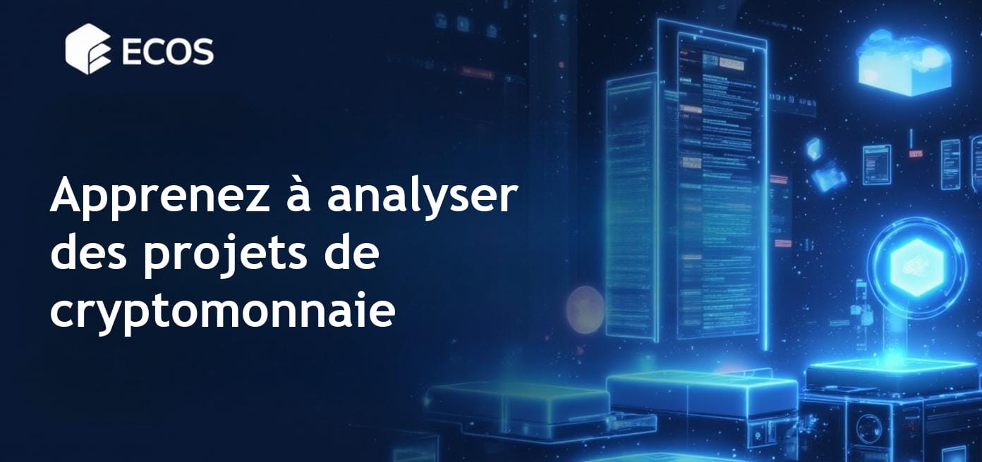 Analyser un projet de cryptomonnaie : Guide étape par étape