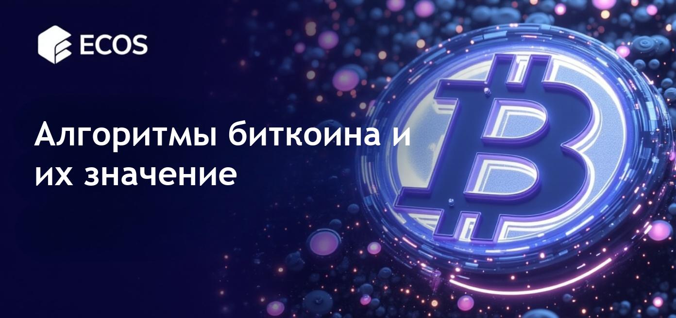 Алгоритмы биткоина: объяснение SHA-256 и будущее блокчейна
