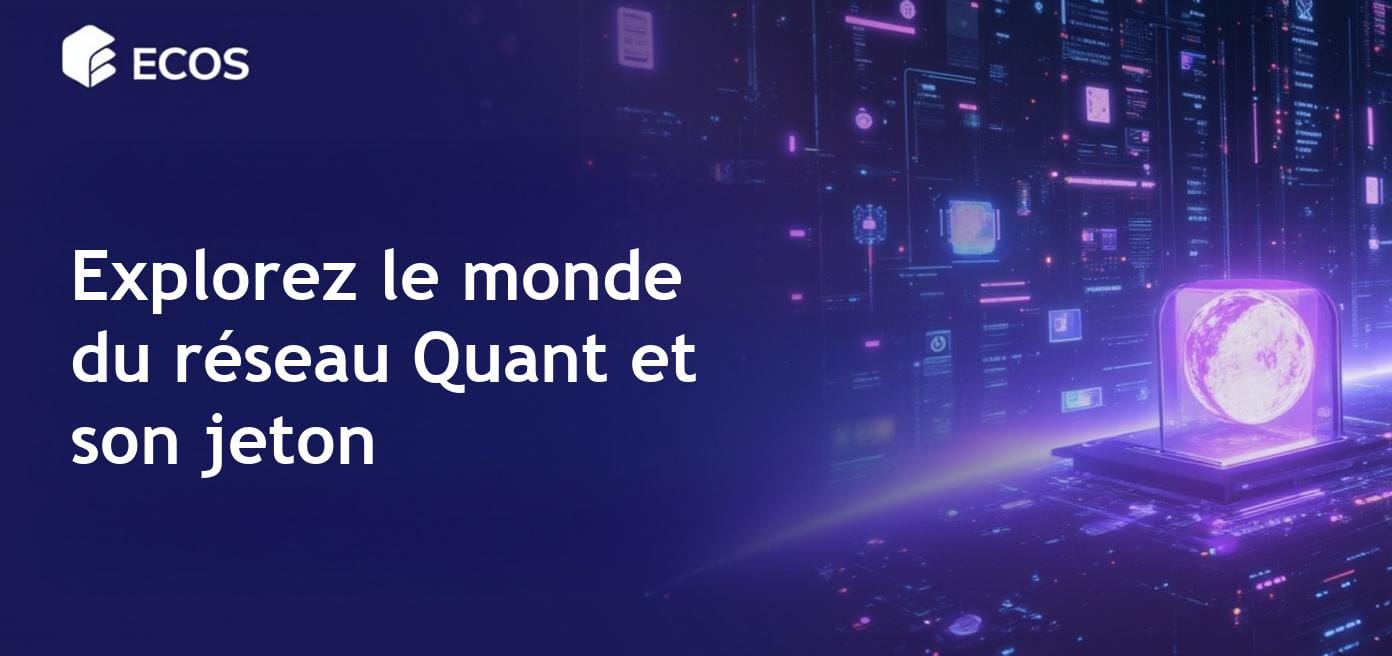 Réseau Quant (QNT) : Une explication de ses caractéristiques et de ses cas d’utilisation