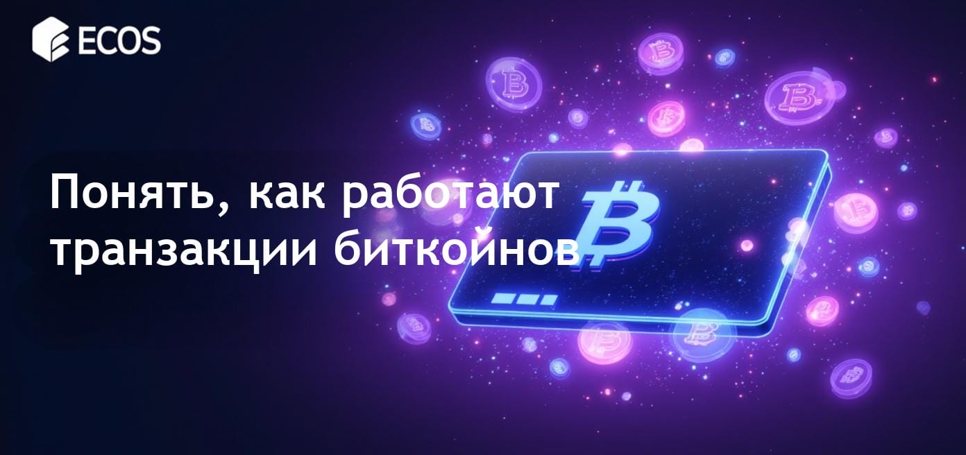 Транзакции биткойнов: как они работают и как обеспечивают безопасность