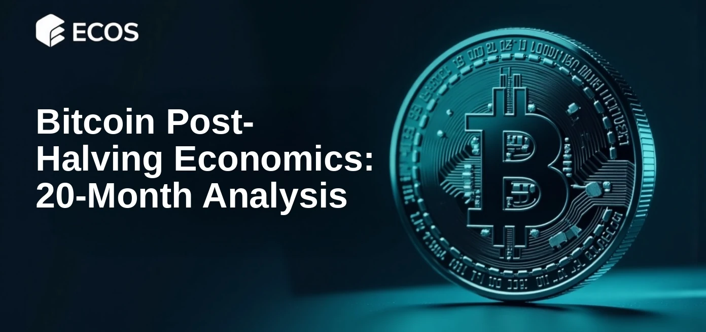 Bitcoin Post-Halving Economics: 20-Month Analysis