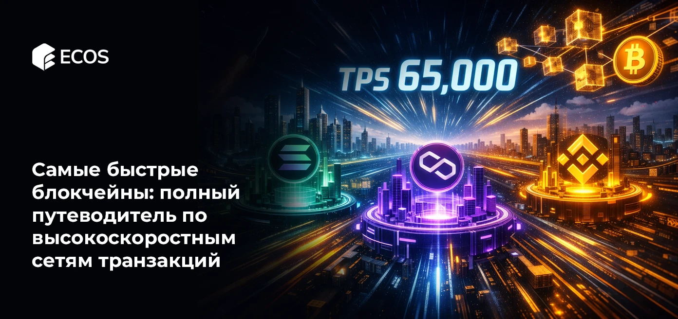 Самые быстрые блокчейны: полный путеводитель по высокоскоростным сетям транзакций