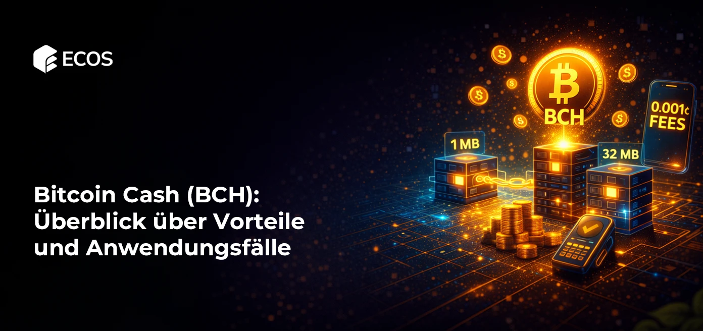 Bitcoin Cash (BCH): Überblick über Vorteile und Anwendungsfälle