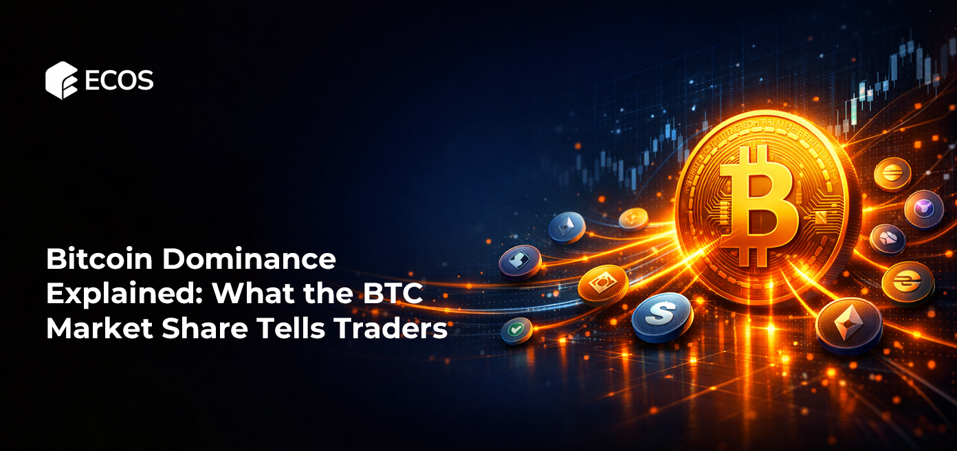 Bitcoin Dominance Explained: What the BTC Market Share Tells Traders