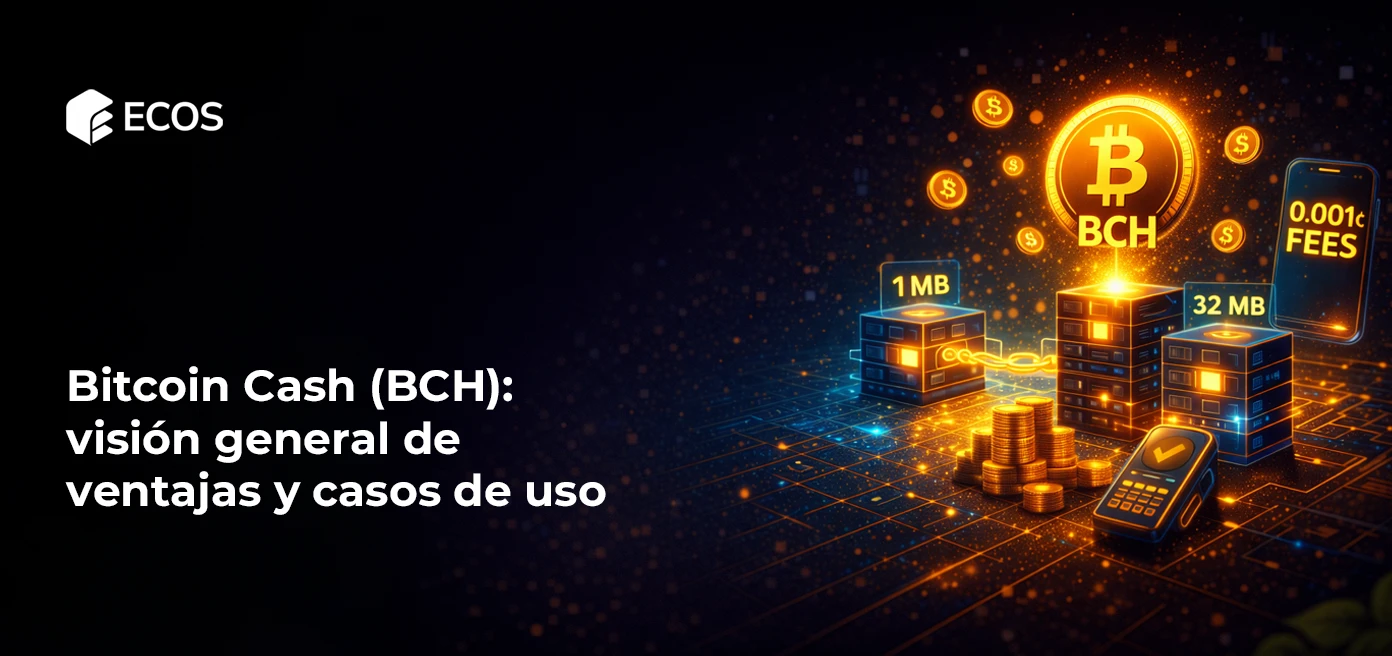 Bitcoin Cash (BCH): visión general de ventajas y casos de uso