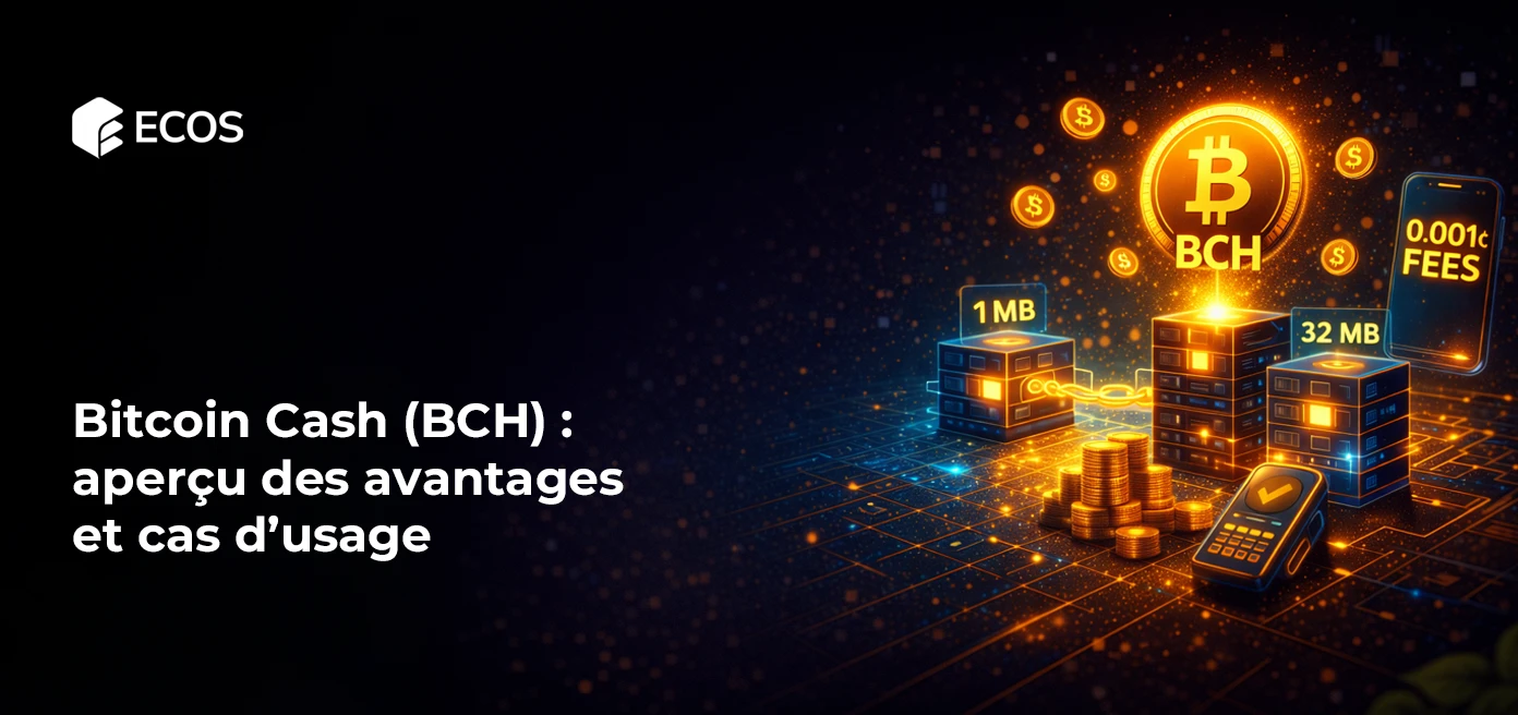 Bitcoin Cash (BCH) : aperçu des avantages et cas d’usage