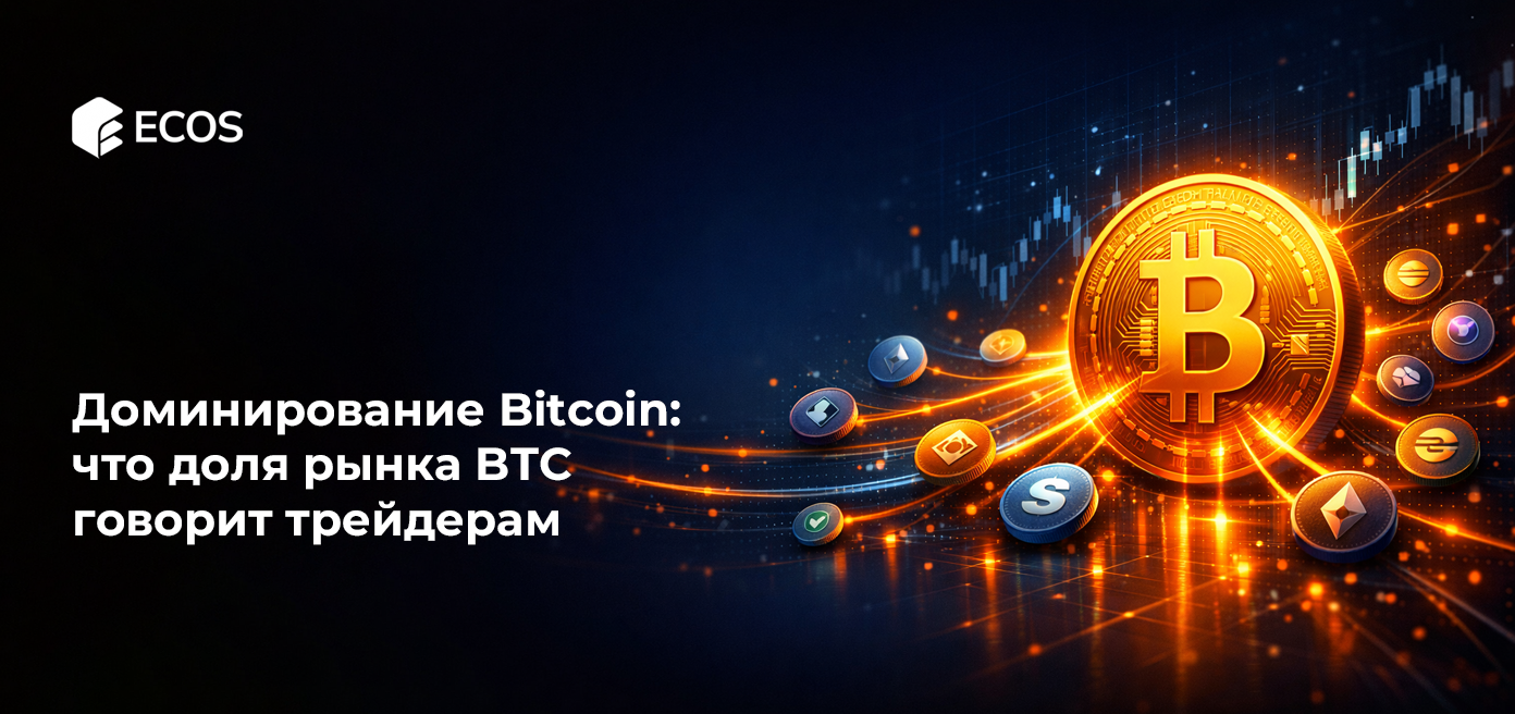 Доминирование Bitcoin: что доля рынка BTC говорит трейдерам