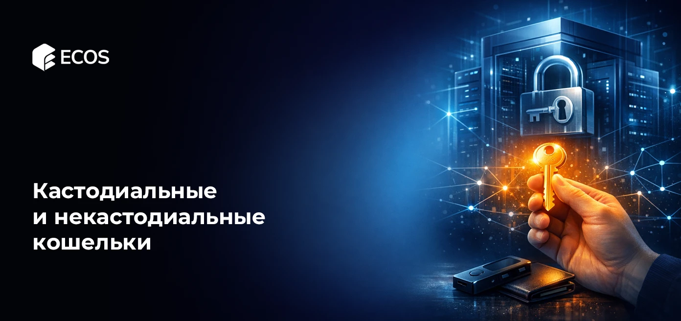 Кастодиальные и некастодиальные кошельки: подробное объяснение