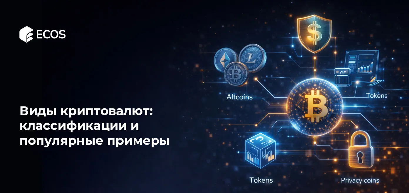 Виды криптовалют: классификации и популярные примеры